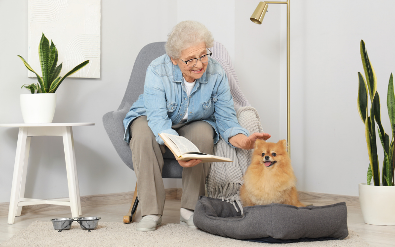 elderly and pet
